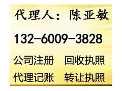 一億投資公司與家族公司注冊指南 流程、要點與建議